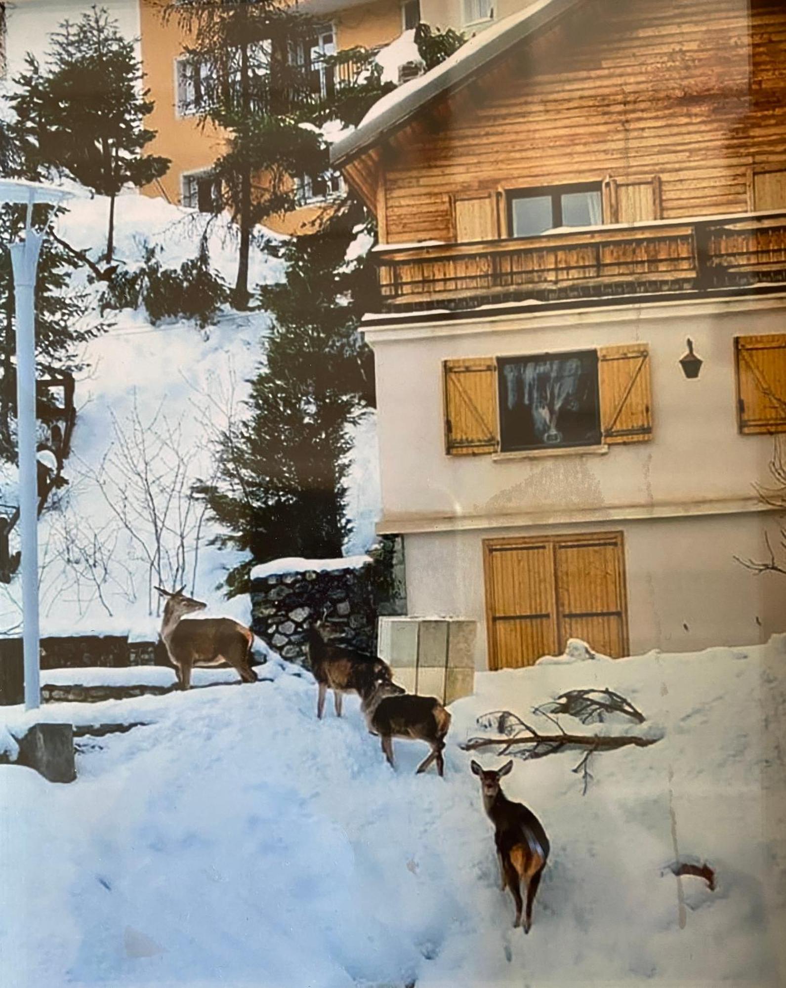 Chalet Familial Auron Exterior foto